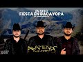 Vamonos Pa Bacayopa • Alameños De La Sierra (En Vivo Desde Bacayopa. Fp 01)