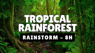 Tropical Rainforest Rainstorm 🌧️ Heavy Jungle Rain &amp; Distant Thunder For Deep Sleep (8 Hours)
