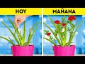 Soluciones de jardinería geniales para amantes de las plantas