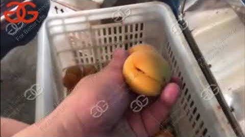 Automatic Apricot pitting machine