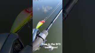 Shimano Aldebaran 22 XG paired with a Dobyns Sierra and Varivas 7lb braid. Love new BFS gear!