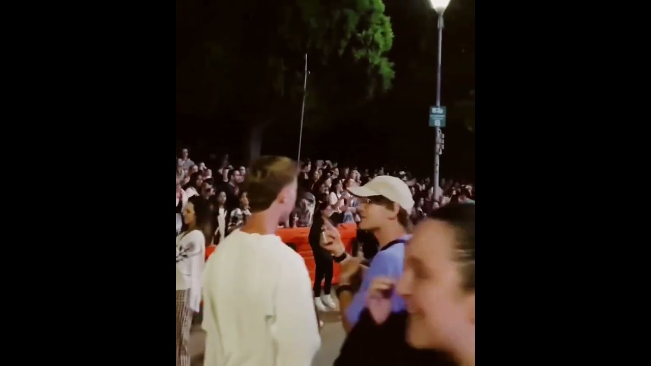 this is the real fan 