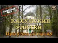 Калужские улочки🏛️🏬🇷🇺Поездка в Калугу🚕🚉 Прогулка по городу🚶🏻‍♂️