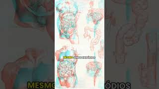 Históriassobre tráfico de órgãos nos anos 90#lendasdobrasil #relatosbizarros #relatosbaseadosemfatos