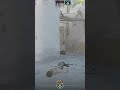 4k deagle #clips #counterstrike #cs2 #cs2clips #csgo #csgoclips #gaming #highlights #csgomoments