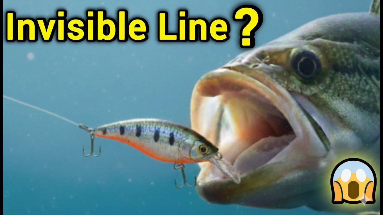 Does Fishing Line Color REALLY Matter? (Invisible fishing line Hack)
