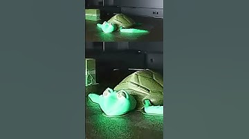 Turtle 3D print time lapse #flexifactory #3Dprint #timelapse