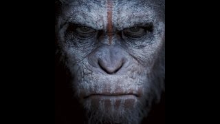 Dawn Of The Planet Of The Apes Review Chasing Cinema