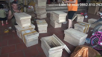 Thùng nuôi Ong Nội Địa/ Hàng giá cực rẻ được làm bằng Gỗ Gạo