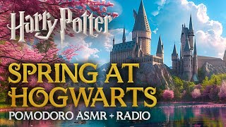 Cozy SPRING Study at HOGWARTS 🌸✏️ Harry Potter Pomodoro Technique, ASMR Session Productivity Timer