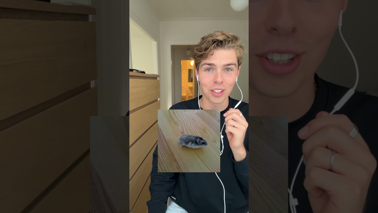 rankar mina EGNA husdjur