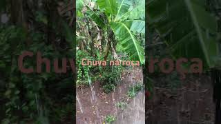 ENFIM CHUVA NA ROÇA