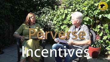 Follow the Science - Perverse Incentives