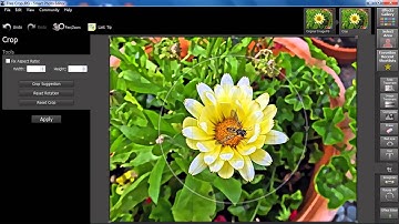 Smart Photo Editor Tutorial - Free Crop Possibilities