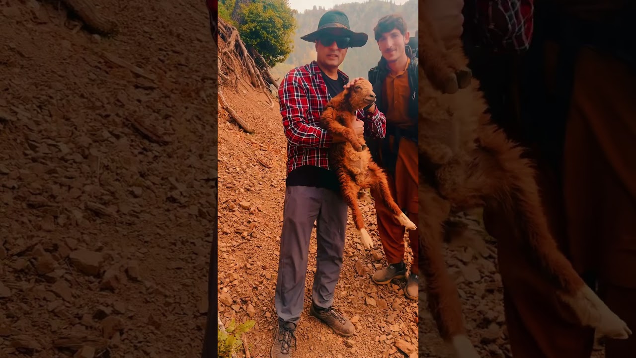 Janshahi Meadows – A Hidden Gem Explored