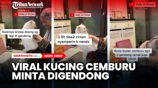 VIRAL Video Kucing Cemburu Tak Dapat Kasih Sayang Nenek,Rela Antre demi Bisa Digendong dan Dielus