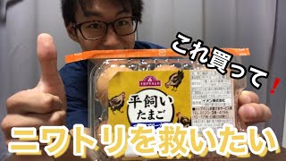 【商品紹介】平飼い卵買いました！是非買ってみてください！