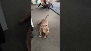 The Best Feeling Ever