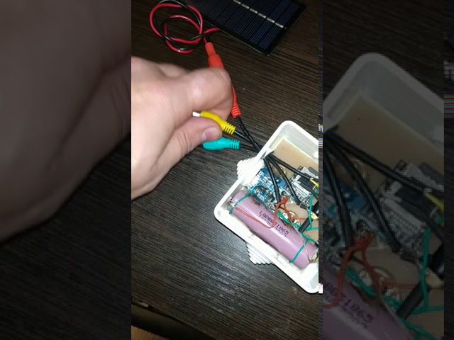 лающая или лающая собака