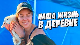 видео: КУПИЛИ УТОК / ПОСТАВИЛИ БАССЕЙН / Пашем огород / Стройматериалы для гаража. картинка: КУПИЛИ УТОК / ПОСТАВИЛИ БАССЕЙН / Пашем огород / Стройматериалы для гаража.