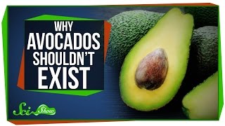 Why Avocados Shouldn't Exist