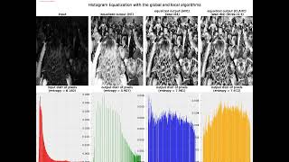 Local | Global | Histogram Equalization | Algorithms | AHE |  CLAHE | python