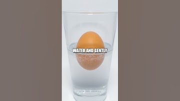 The Floating Egg Experiment