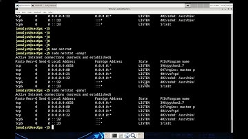 Cisco - CyberOps Associate - 4.3.4 Lab - Linux Servers