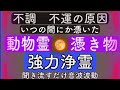 強力浄霊 動物霊 憑き物に戻るべき場所に戻ってもらう音波波動 浄化 聞き流しOK 寝落ちOK 強力浄霊 動物霊 憑き物に戻るべき場所に戻ってもらう音波波動 浄化 聞き流しOK 寝落ちOK