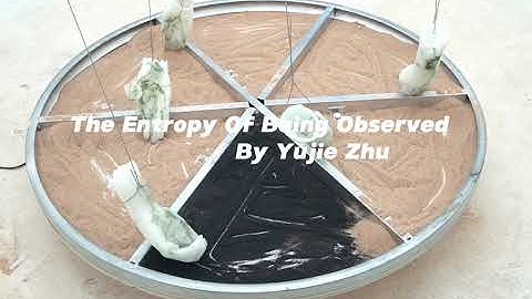 The Entropy of Being Observed 2025