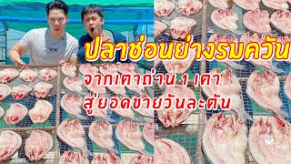 ปลาช่อนย่างรมควัน จากเตาถ่าน 1 เตา สู่ยอดขายวันละตัน | เอิร์ธอาร์มตะลุย