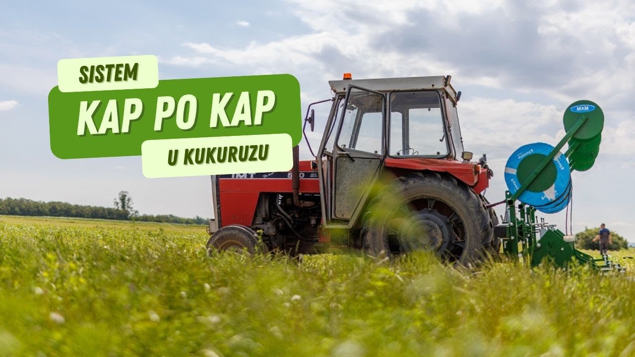 Navodnjavanje Kap po kap u kukuruzu | SAVACOOP