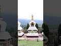 Tibetian temple in sathyamangalam  shorts trending viral tamil trendingshorts tibetan comedy