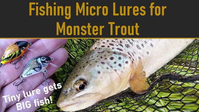 The Best CREEK & RIVER Lure for REACTION STRIKES!