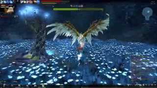 Vindictus Regina Hagiesylas Solo 마영전 레지나 헤기 솔로