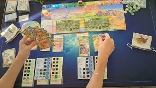 Celebrity Evolution Solo - Flight and Climate! Profile