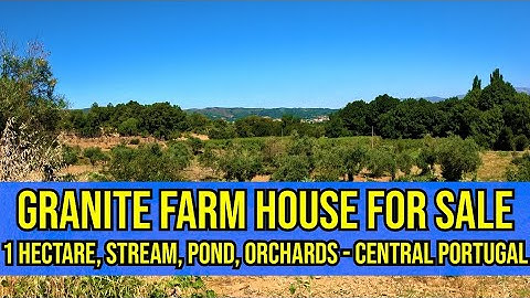 1HA LARGE FARM HOUSE, ORCHARDS, POND, STREAM & OLIVE GROVES... HOMESTEAD FOR SALE CENTRAL PORTUGAL
