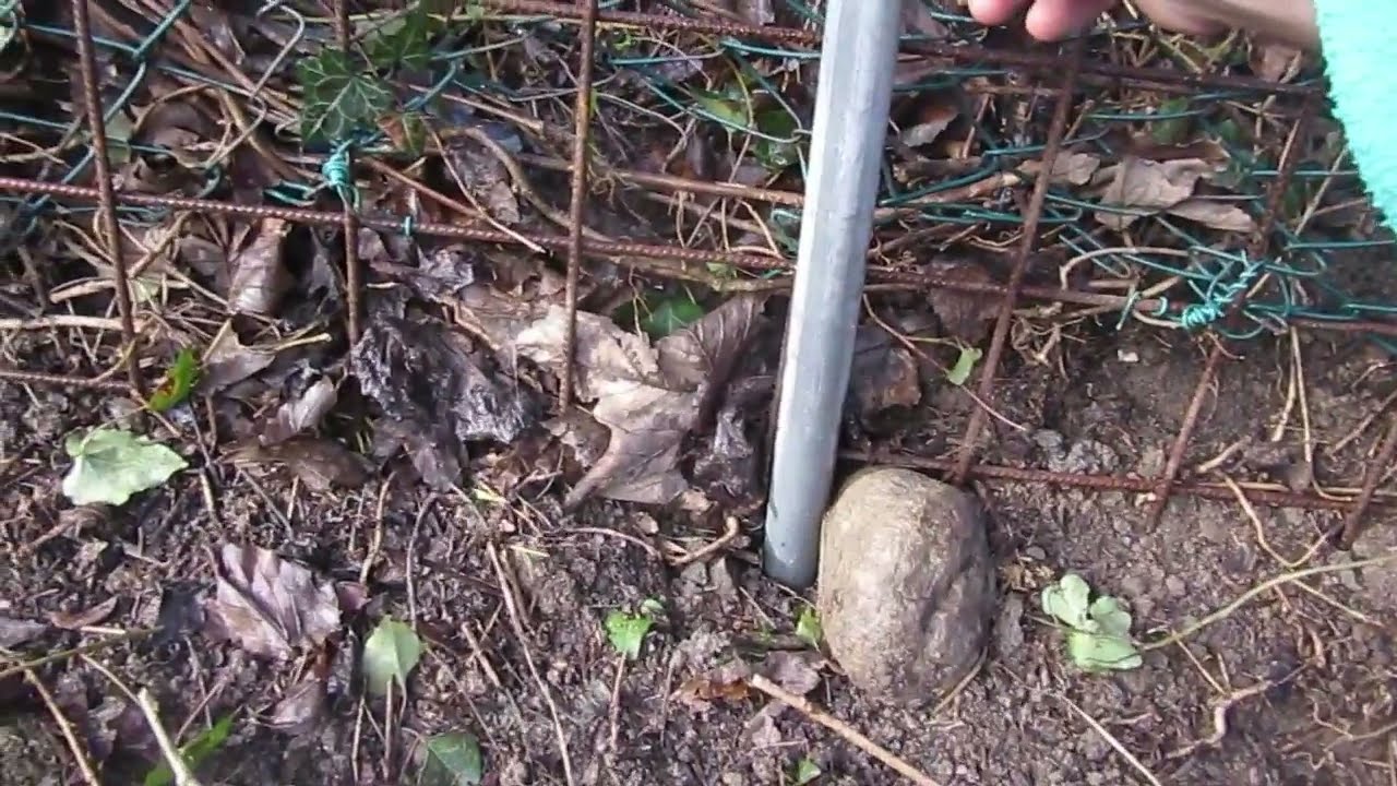 I Cinghiali non Mollano - Reti Forzate 