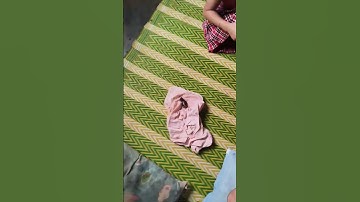 BÉ KHÓC VÌ CHÚ CHIM CHẾT #shorts #yêuđộngvật #viral