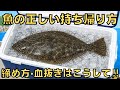釣った魚はこう持ち帰れ‼︎初心者でも失敗しないコツ‼︎