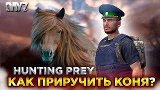 видео: DAYZ PVE | ВЫЖИВАЕМ, КАК ПРИРУЧИТЬ КОНЯ? | СЕРВЕР HUNTING PREY картинка: DAYZ PVE | ВЫЖИВАЕМ, КАК ПРИРУЧИТЬ КОНЯ? | СЕРВЕР HUNTING PREY