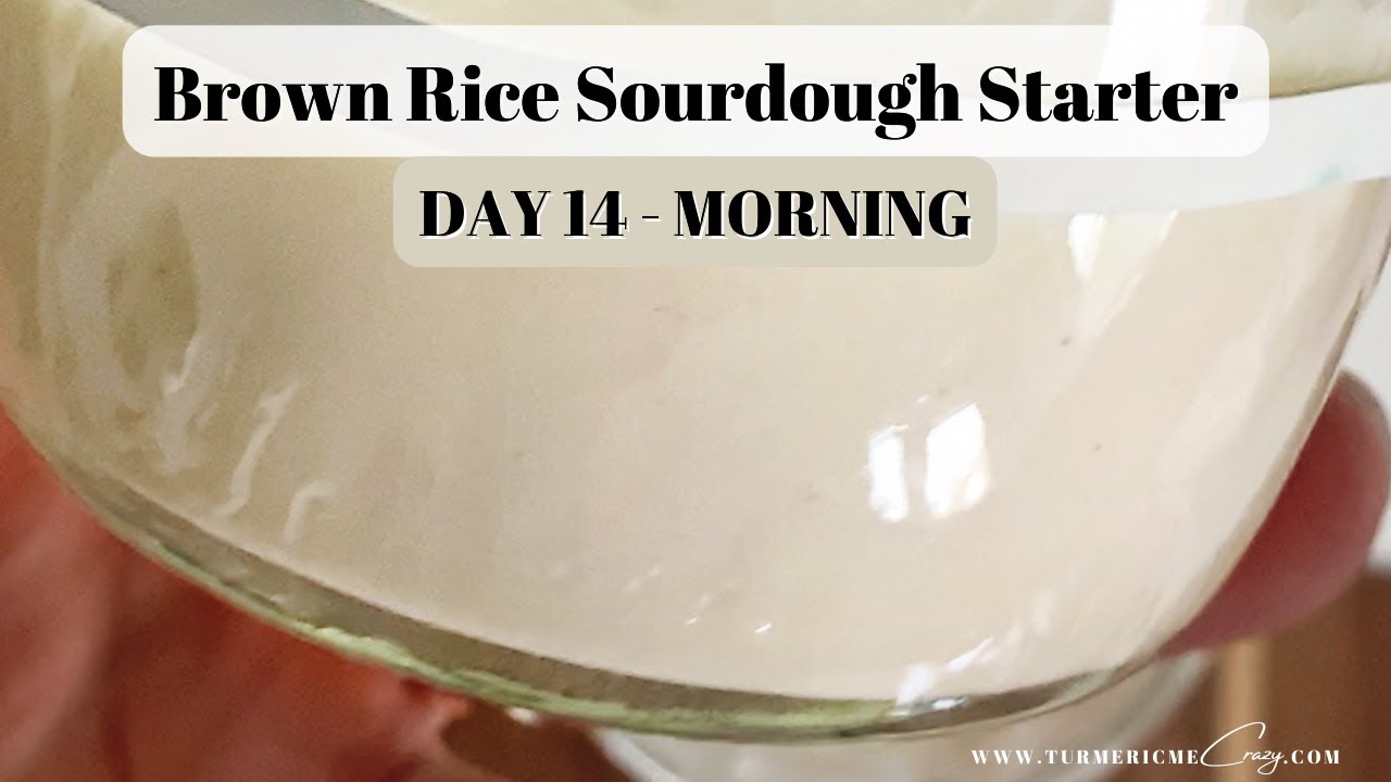 DAY 14 - Morning - REPLENISH STARTER (Brown Rice Gluten Free Sourdough ...