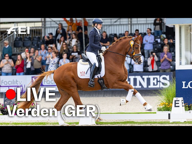 🔴 LIVE | Small Final 7yo horses FEI Dressage World Breeding