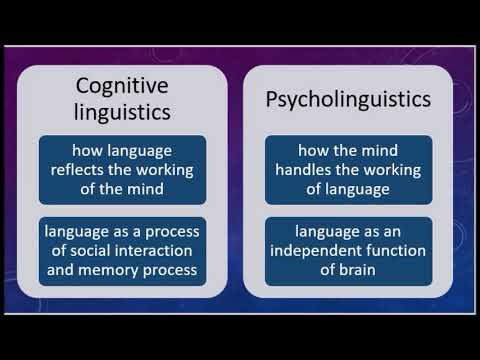 Cognitive-Functional Linguisti