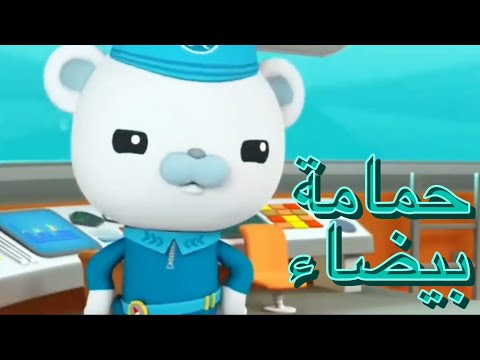 أغنية حمامة بيضاء كرتون أوكتونوتس حنان الطرايرة  