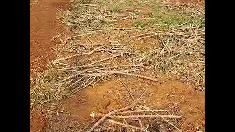 Sarvashakthi Multi rotor Rotavator customer review. Call 9566876844