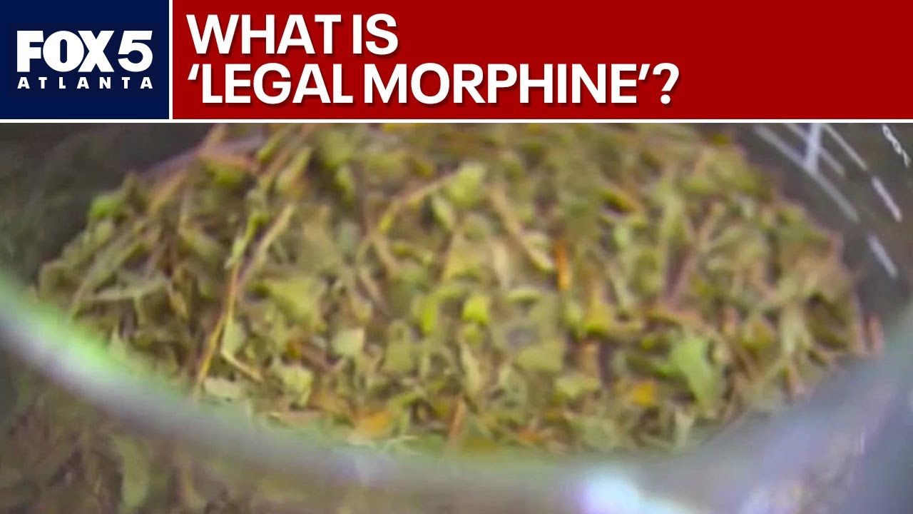 Concerns over 'legal  morphine' | FOX 5 News