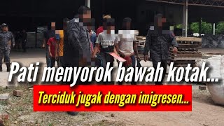 Pati Haram Menyorok Bawah Timbunan Kotak, Ingatkan Imigresen Tak Nampak‼️