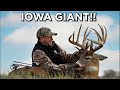 GIANT Iowa Buck!! | Rut Hunting Action | November Bowhunting