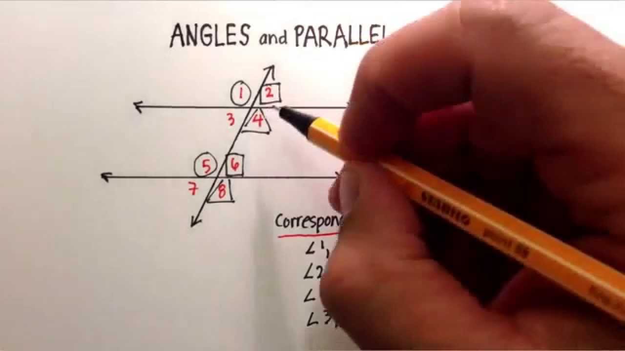Angles Corresponding Alternate Interior Alternate Exterior Angles And Transversal Lines